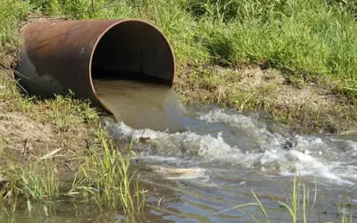 ¿Qué diferencia hay entre aguas grises y aguas negras?